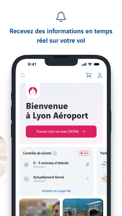 Lyon Aéroport Screenshot