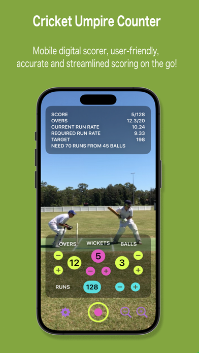 One Third Umpire Screenshot