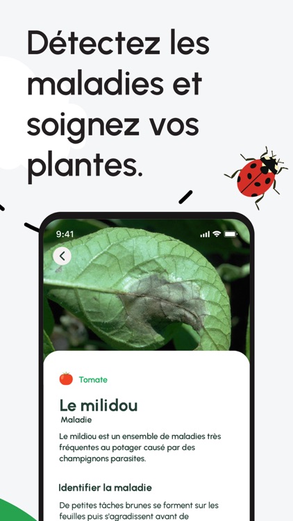 Dr. Jonquille & Mr. Ail screenshot-7