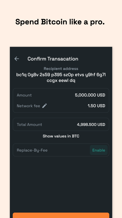 Bitcoin Wallet - BTC Vault Screenshot