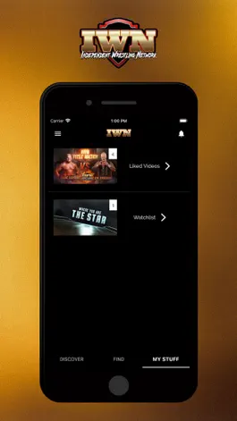 Game screenshot IWN Wrestling hack