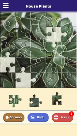 Game screenshot House Plants Puzzle hack