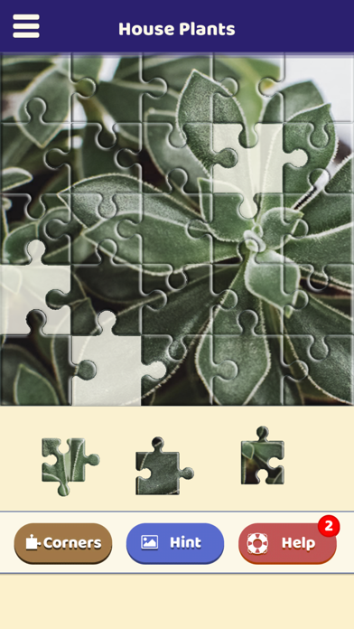 House Plants Puzzle Screenshot