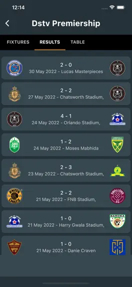 Game screenshot South African Soccer apk