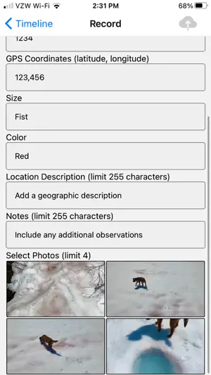 Living Snow Project screenshot 4