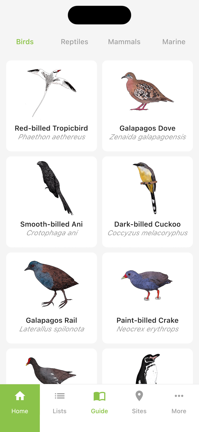 Galapagos Wildlife Guide