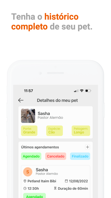 Petland Screenshot