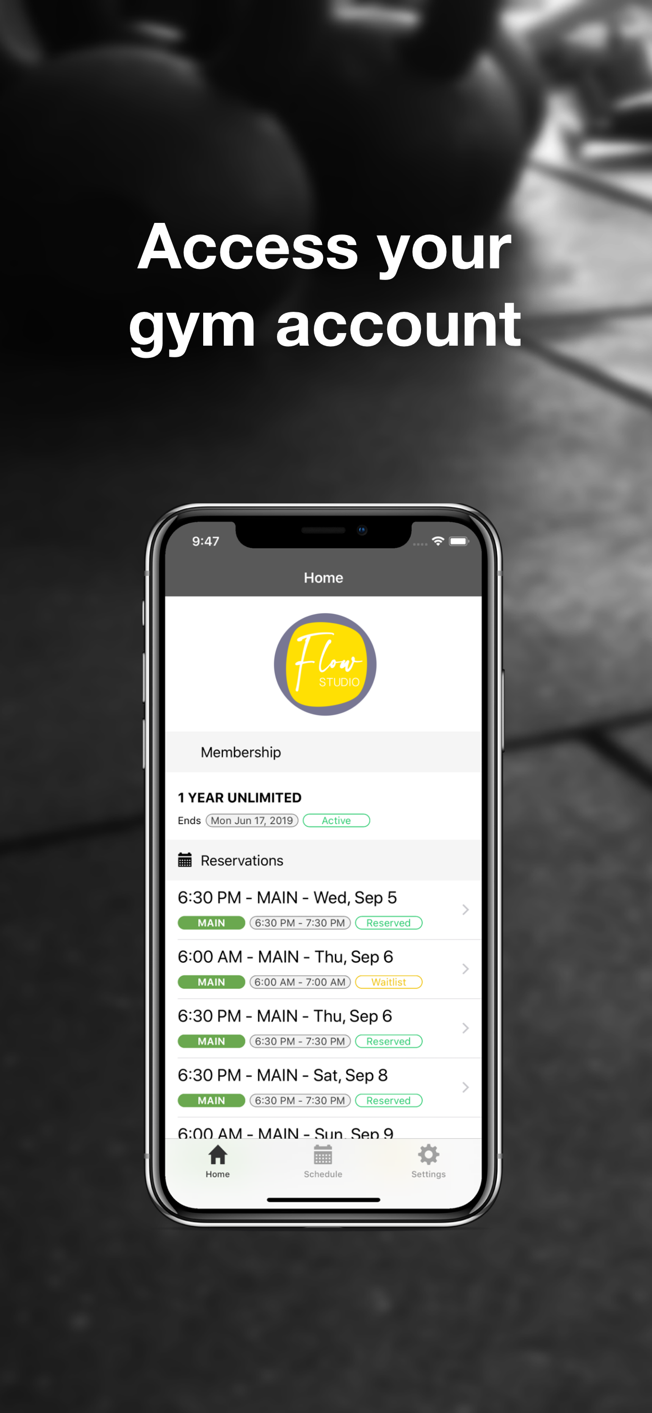 Flow Jo screenshot 1