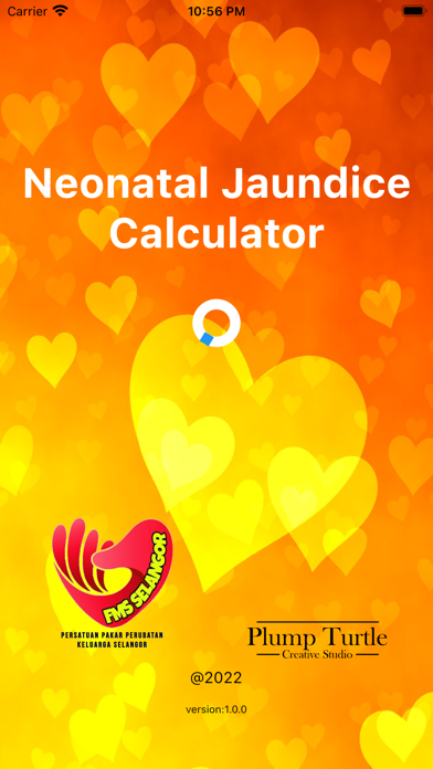 My NNJ Calculator Screenshot