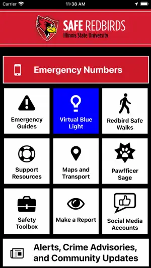 Safe Redbirds screenshot 1