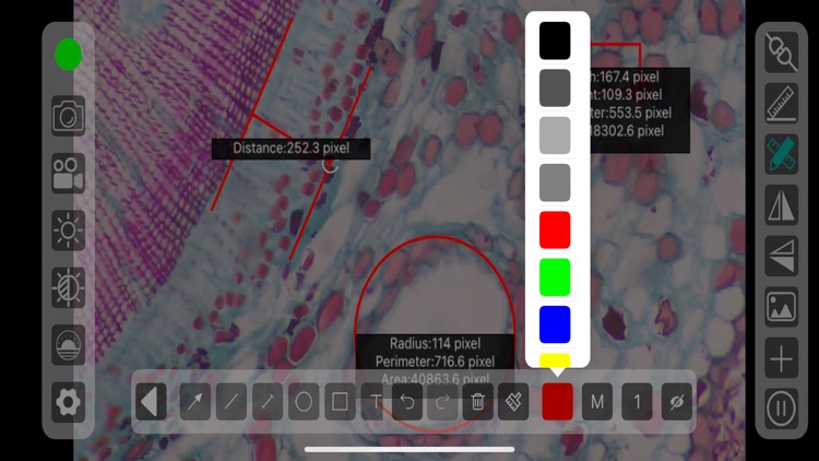 Capture Lite screenshot-3