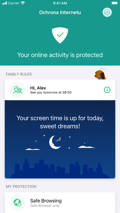 Ochrona Internetu Screenshot