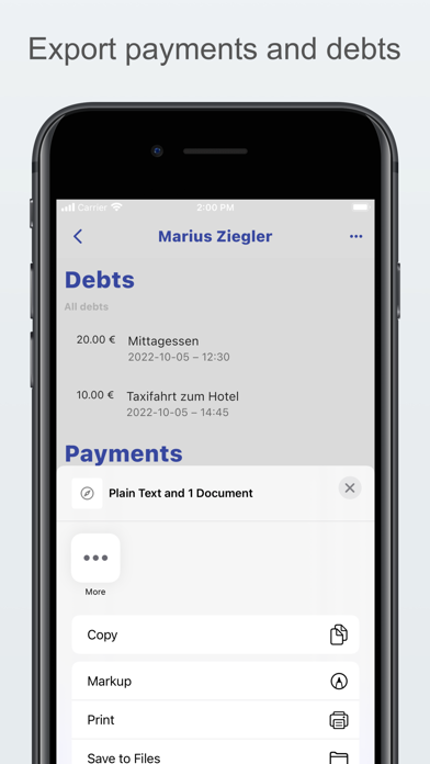 Debt Manager Pro Screenshot