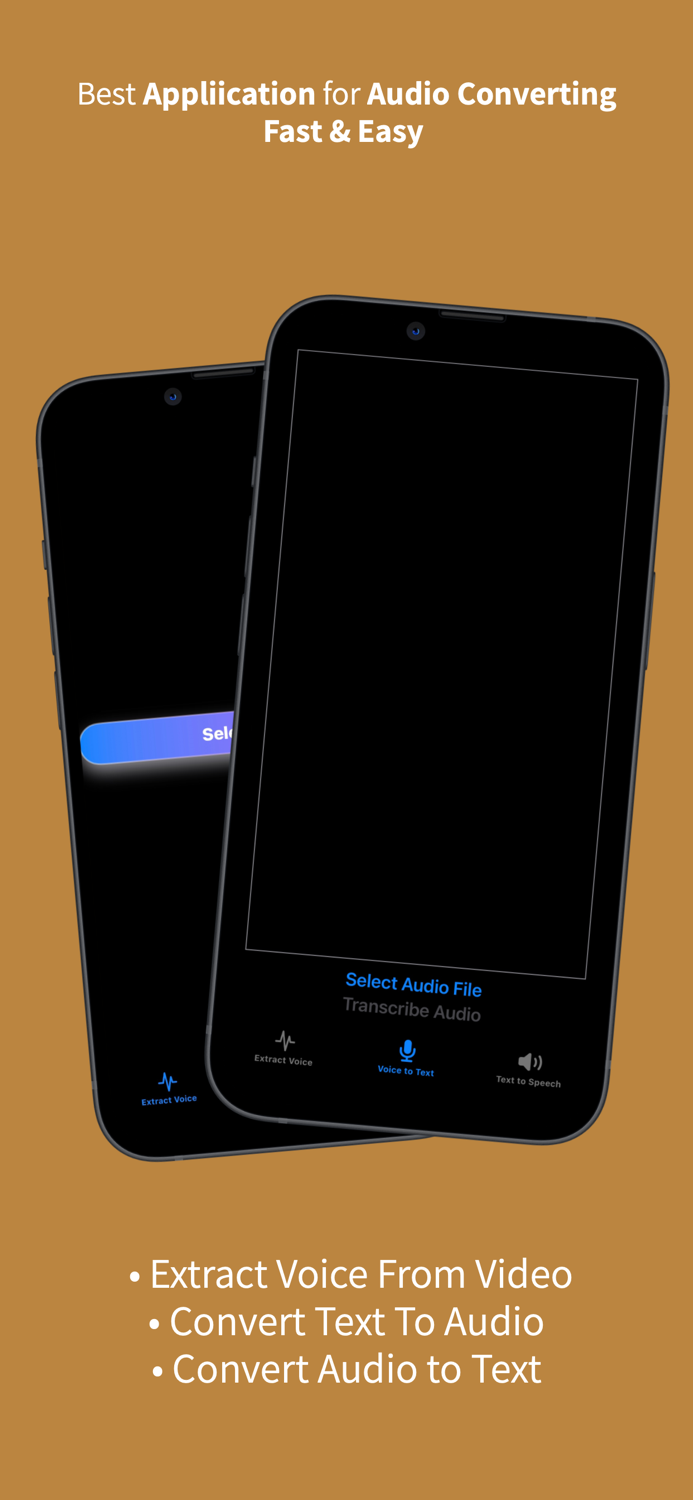 VideoVoice to text INGOAMPT