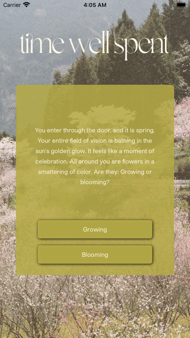 Time Well Spent Curiosity Quiz Screenshot