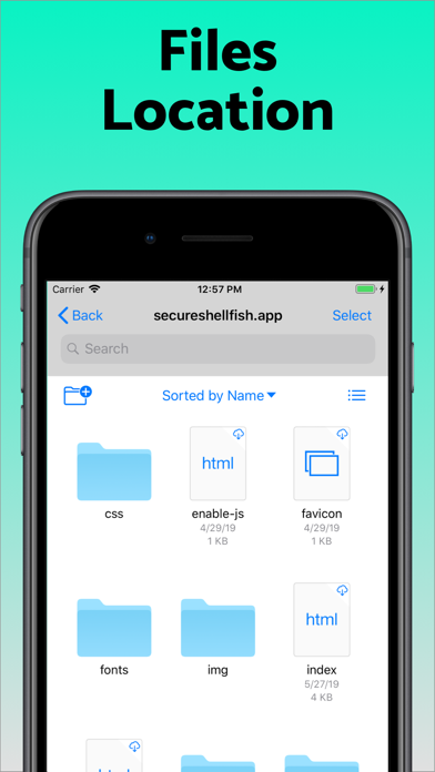 Screenshot #3 pour SSH Files – Secure ShellFish