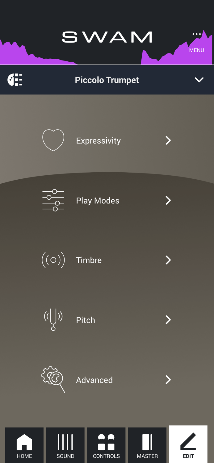SWAM Piccolo Trumpet