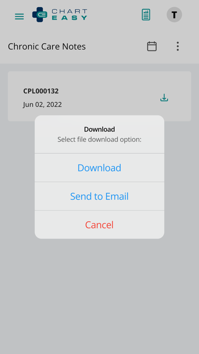 ChartEasy Patient Portal Screenshot