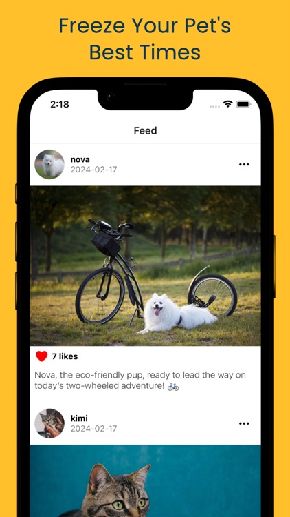 Petzzl - Pet Social Media