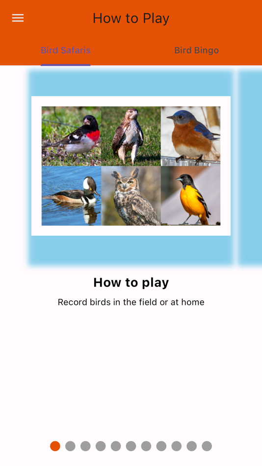 BirdBingo&BirdWatching Safaris - 1.0.1 - (iOS)