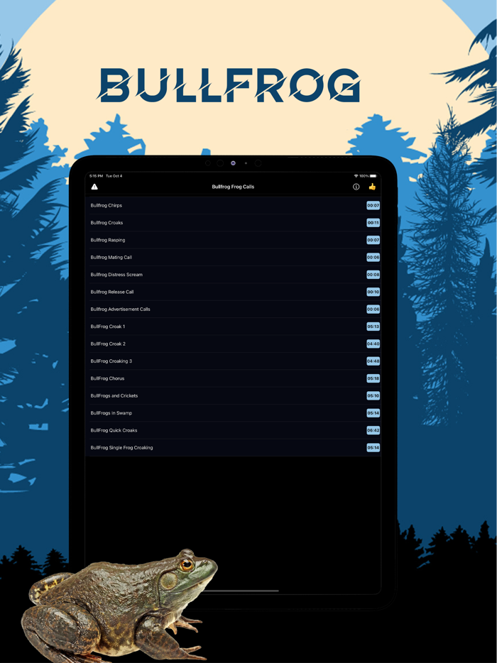 Bullfrog Magnet - Frog Calls