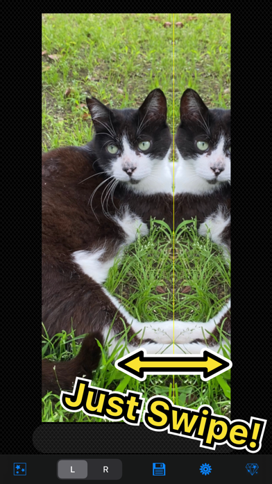 Screenshot #2 pour SymmetPical