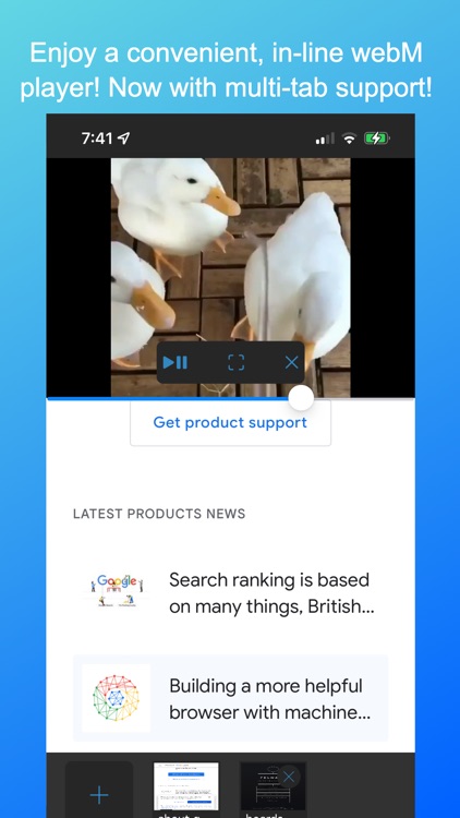 Frost WebM Player Browser