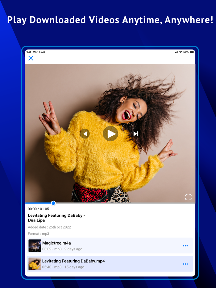 Video Manager - Offline Play