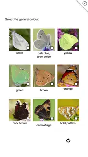 butterflies & day moths uk iphone screenshot 4