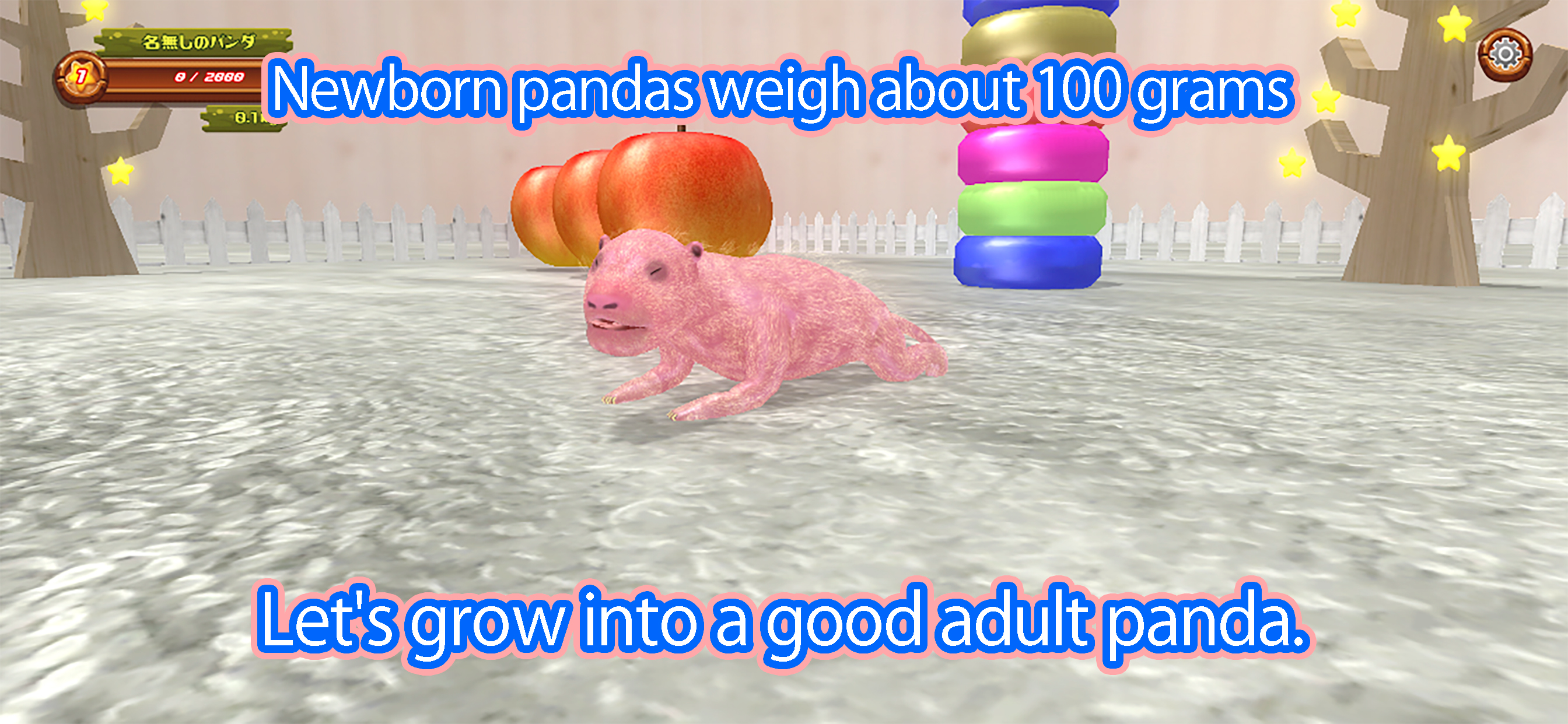 Newborn panda