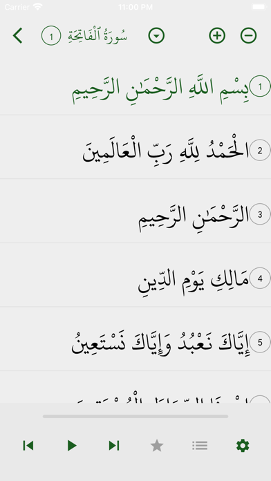 Sachse Muslim Society Screenshot