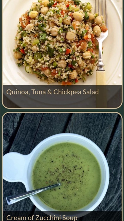 Healthy Recipes Plus