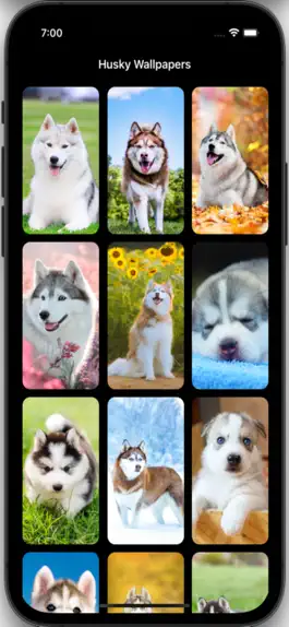 Game screenshot Husky Wallpapers HD mod apk