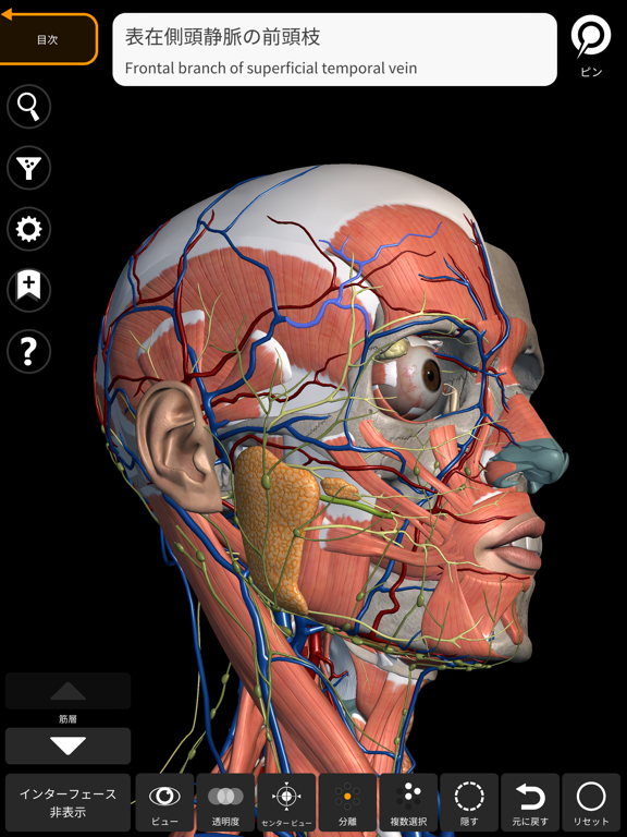 解剖学 - 3Dアトラスのおすすめ画像10