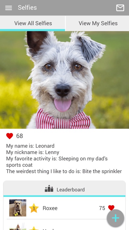 AMC of Surprise screenshot-3