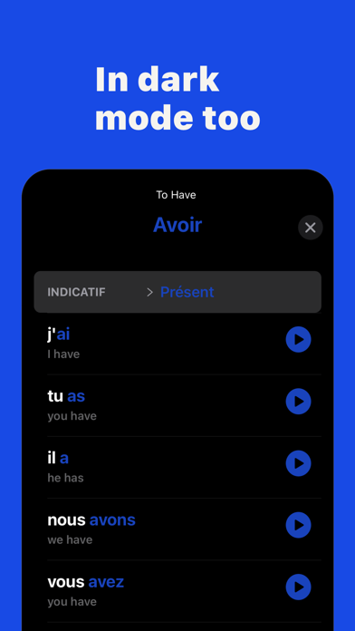 French Verbs: Conjugation Screenshot