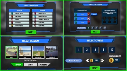 Street Cricket Championship Screenshot