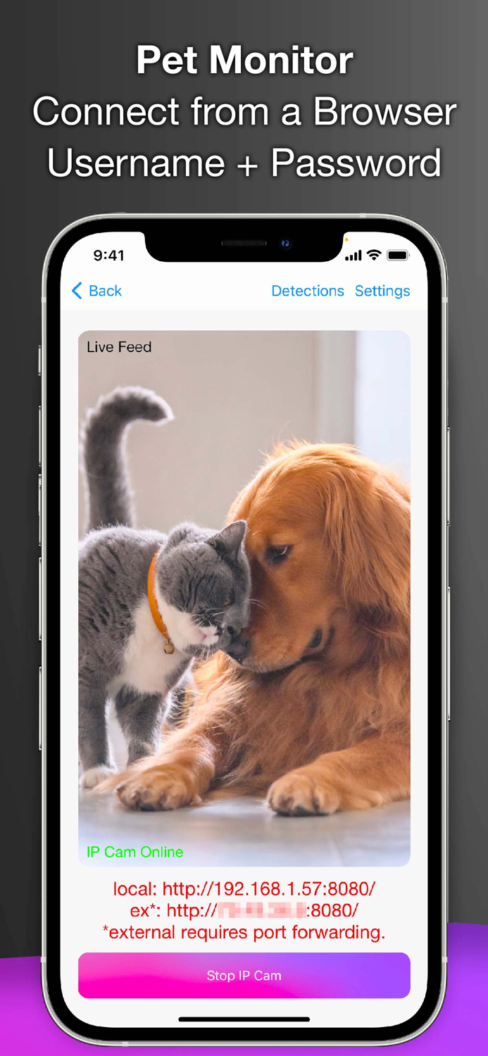 Phone IP Camera Life Surveil