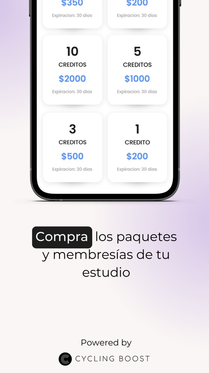 zpinzone screenshot-3