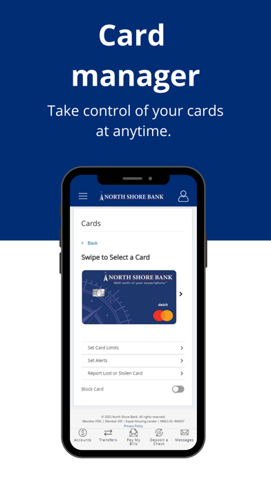 North Shore Bank Screenshot