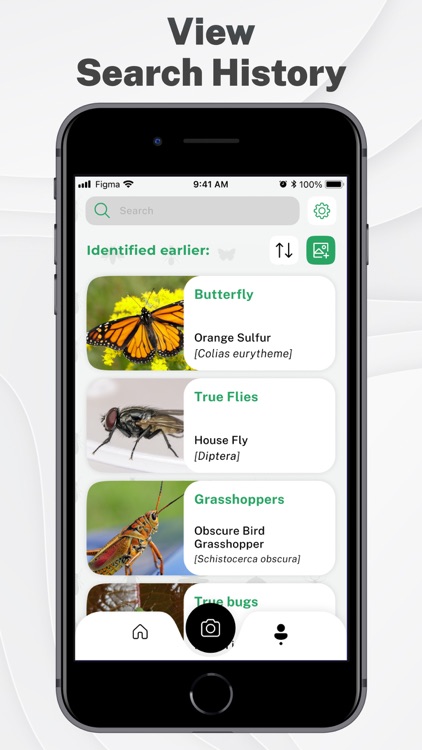 Insects & Bugs Identifier ID screenshot-4