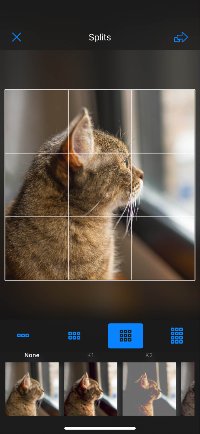 emogrid - make grids photo
