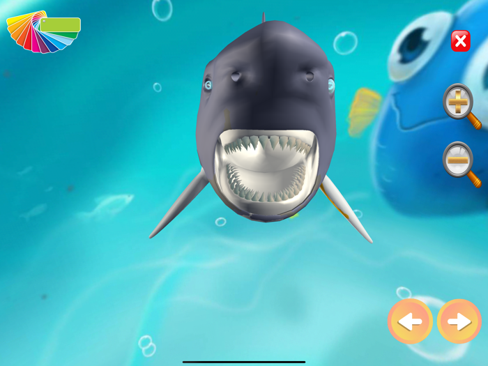 Shark World - Coloring Games