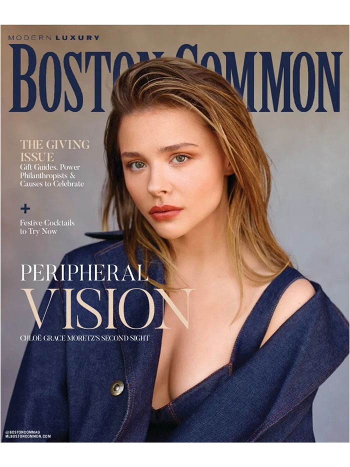 Modern Luxury Boston Common