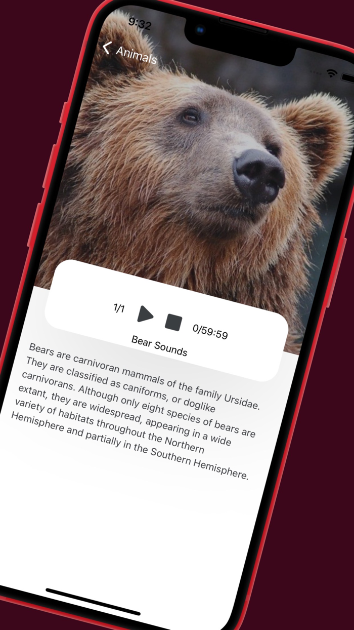 Hayo Animal Sounds  Noises