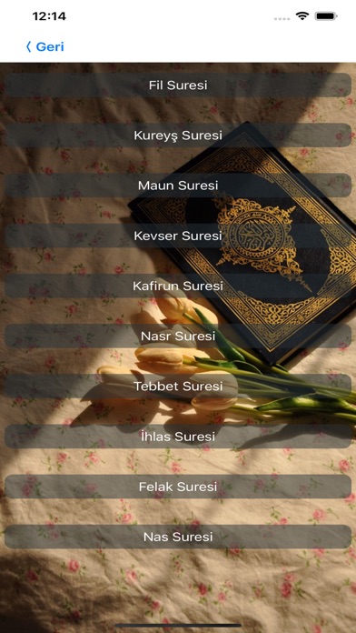 Namazı Anlayarak Kılmak Screenshot