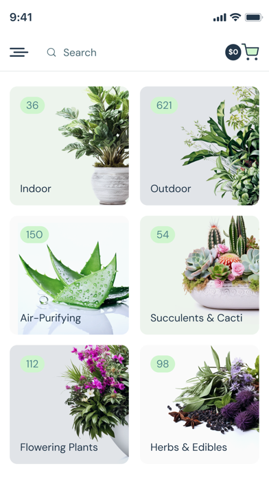 Everbloom - Plant Online Store Screenshot