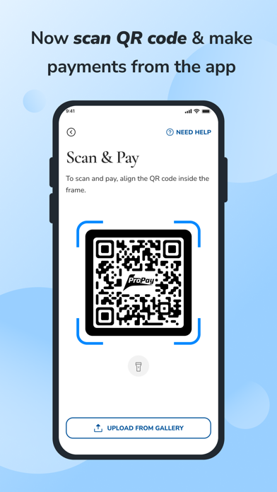 ProPay International Screenshot
