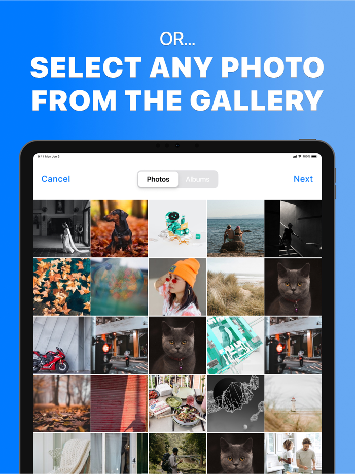 Celeb Me Celebrity look alike
