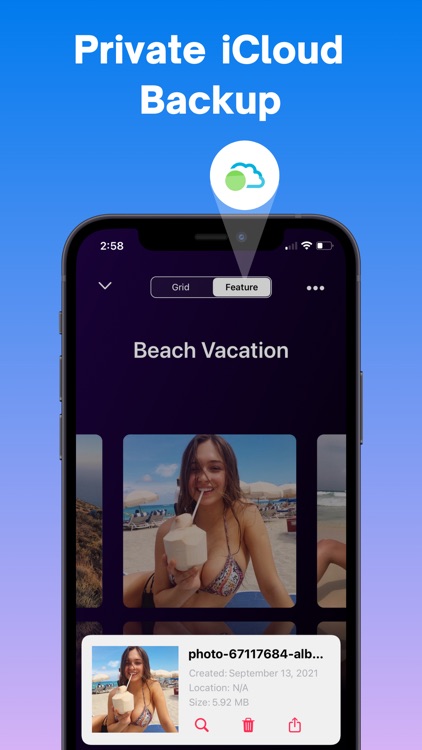 Secret Photo Vault HiddenVault screenshot-3